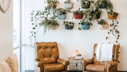 Willow Haus Chiropractic | New Braunfels Chiropractor