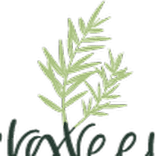 Evergreen Counseling SA