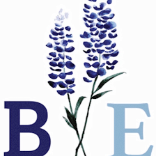 Bluebonnet Exteriors
