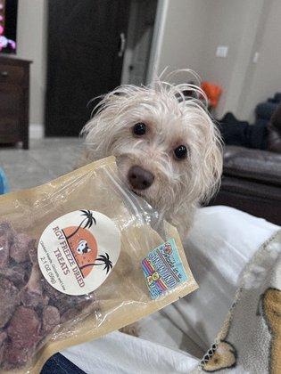 RGV Freeze Dried Treats