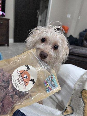 RGV Freeze Dried Treats