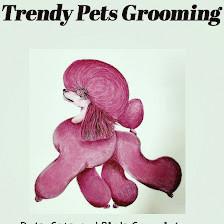 Trendy Pets Grooming Salon