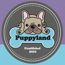 Puppyland San Antonio