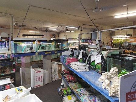 Fintique Tropical Fish Pet Store