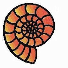 Turning Point Associates, Inc.