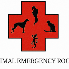 Animal Emergency Room