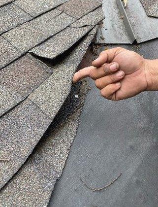 Mighty Dog Roofing