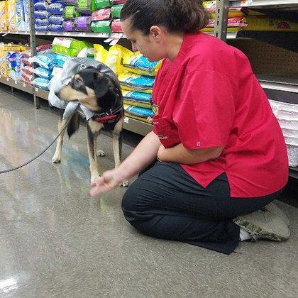 Pet Supplies Plus Macarthur