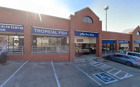 Tropical Fish