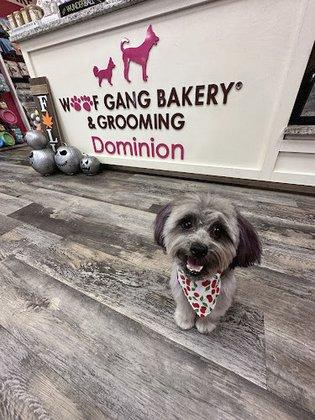 Woof Gang Bakery & Grooming Dominion