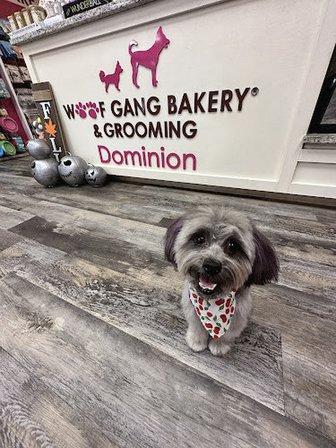 Woof Gang Bakery & Grooming Dominion