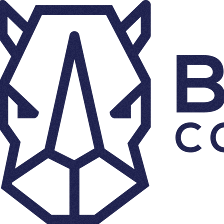 BLUE RHINO CONSTRUCTION LLC