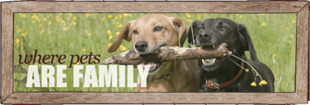 Bulverde Animal Hospital