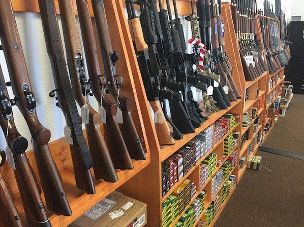 Armed in America Firearms