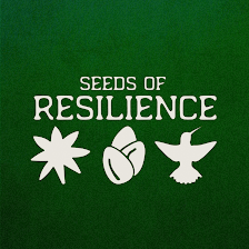 Seeds of Resilience, PLLC - Counseling
