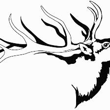 Elk Contracting