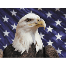 San Antonio Tax Prep LLC