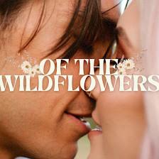 Of the Wildflowers