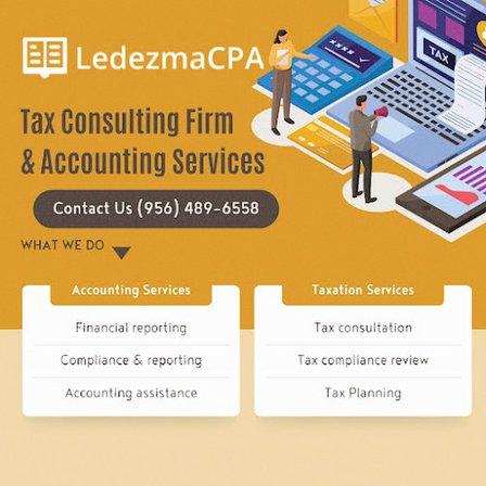 Jose Luis Ledezma, CPA