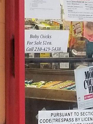 Thelma Food Store