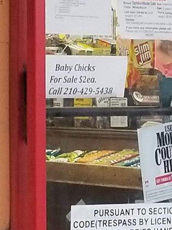 Thelma Food Store