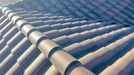 Roofer Chicks