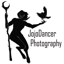 JojoDancer Photography and Video