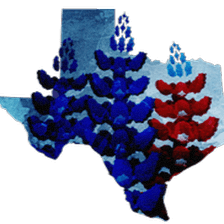 Bluebonnet Center for Play Therapy