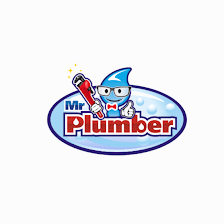 Mr. Plumber Plumbing Co