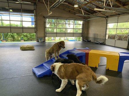 Rob Cary Pet Resort