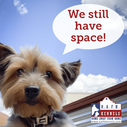 Home Away From Home Kennels