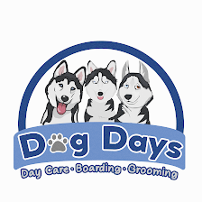 Dog Days San Antonio
