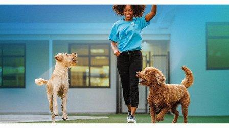 Pet Paradise Stone Oak