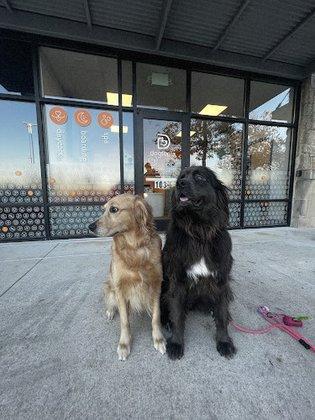 Dogtopia of San Antonio - Stone Oak