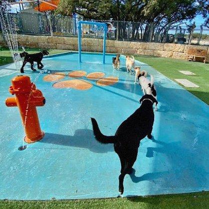 Lucy's Doggy Daycare and Spa