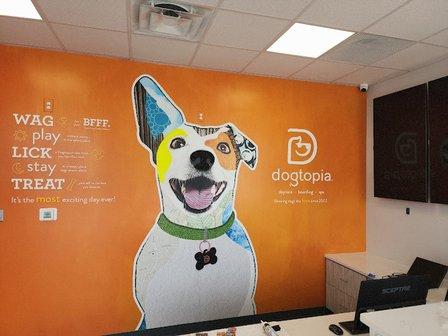 Dogtopia of San Antonio - Alamo Ranch