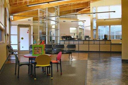 Superior Janitorial Services