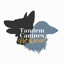 Tandem Canines Pet Resort