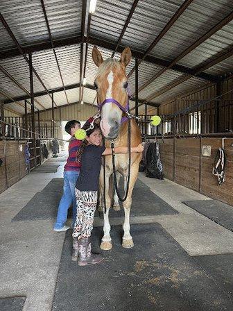 Spring Creek Stables