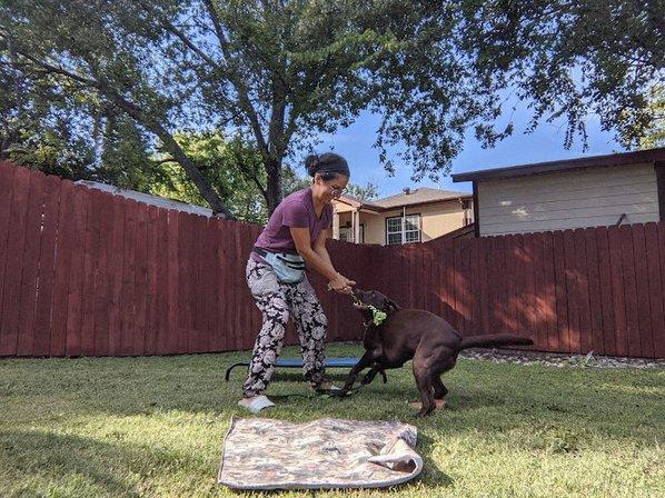 Beautiful Bond Dog Training