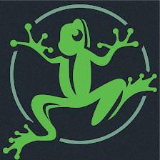 LeapFrog Promotions