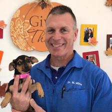 Texas Veterinary Hospitals