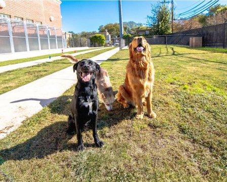 VCA Becker Animal Hospital and Pet Resort