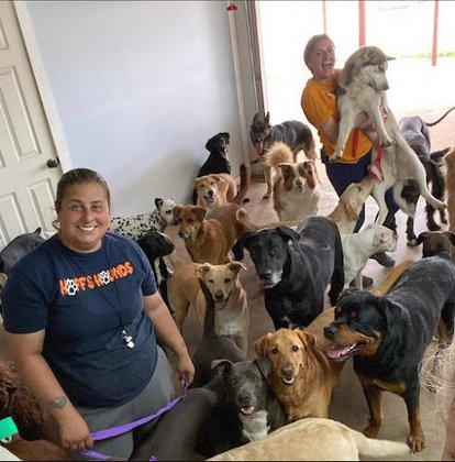 Hoff's Hounds