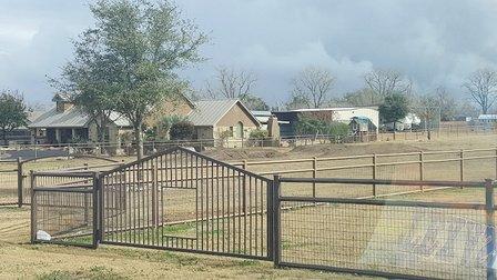 South Texas Fence