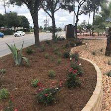 Trejo Landscaping