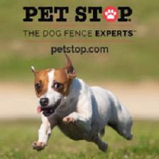 San Antonio Dog Fence