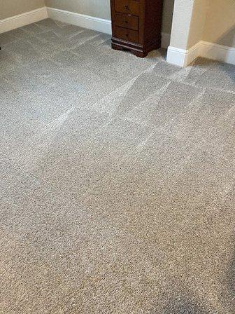 The Carpet Cleaner