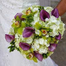 San Antonio Floral Designs