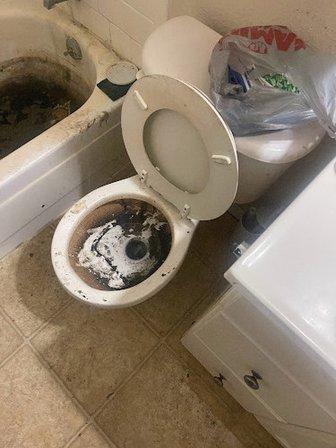 Phoenix Plumbing Sewer & Drains